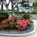irvine-office-1
