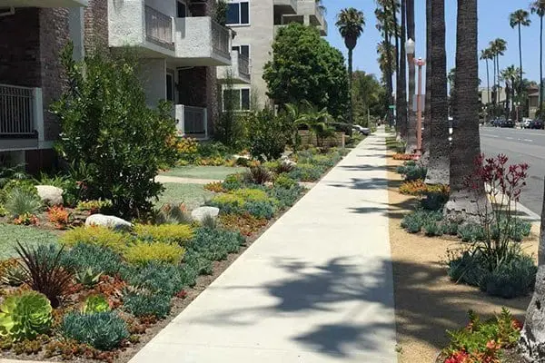 landscape design and installation