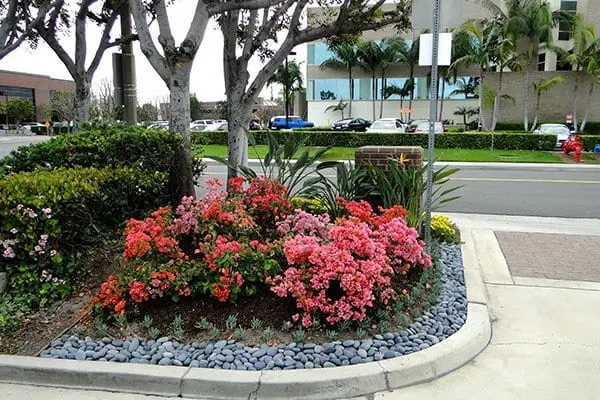 irvine-office-1