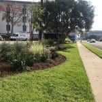 Torrance Medical Plaza